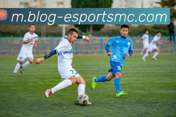 多媒体互动体验