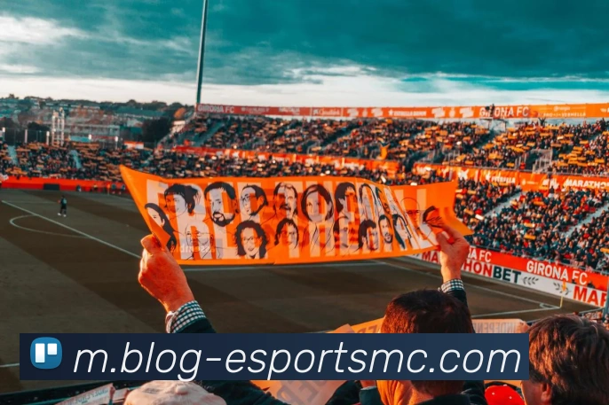 易倍体育APP 高清赛事图