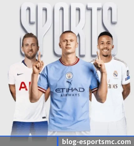 本站五个常用功能入口,赛程查询路径更短 - EMCSPORTS